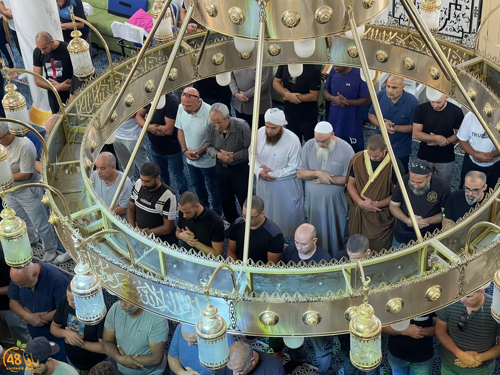 WhatsApp Image 2023-10-12 at 11.59.39 AM.jpeg